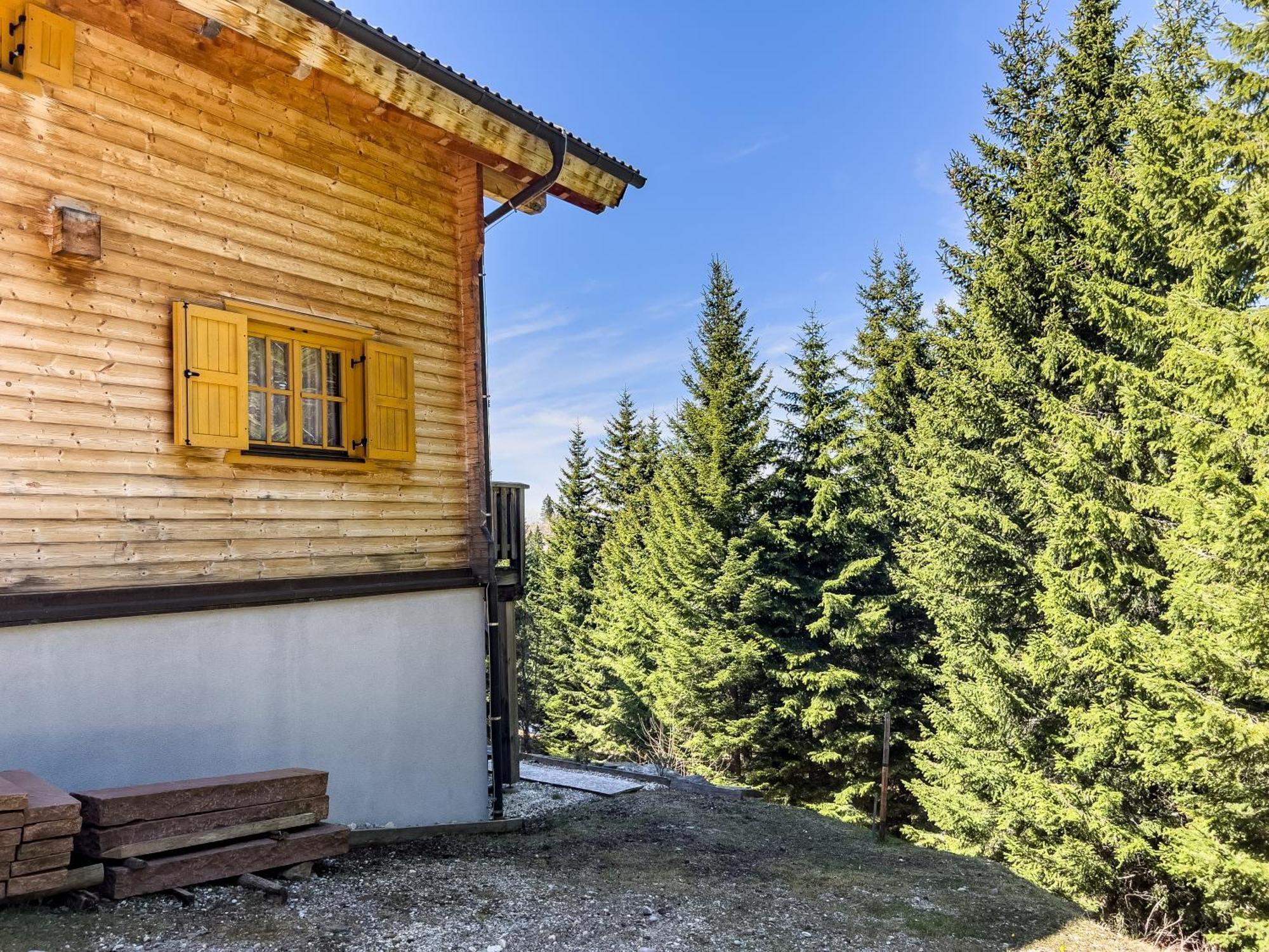 1A Chalet Enzianhuette - Ski Fahren Und Indoor Sauna Villa Elsenbrunn ภายนอก รูปภาพ